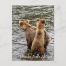 Recherche de cuill cartes postales Faune