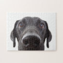 Suche nach schwarzer labrador puzzle Portrait