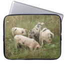 Suche nach rosa schwein laptop schutzhüllen Bauernhof