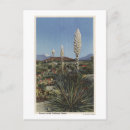 Recherche de yucca cartes postales Cactus