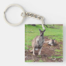 Suche nach kangaroo schlüsselanhänger Tierwelt