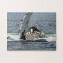 Suche nach buckelwal puzzle Natur