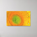 Suche nach nikon poster Pflanze