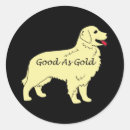 Recherche de goldens autocollants Golden retriever