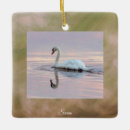 Suche nach schwan ornamente Feiertag