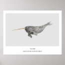 Suche nach narwhals poster Meeresleben