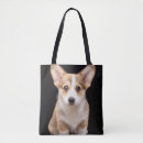 Suche nach stehender taschen Hund
