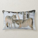 Recherche de loup neige de coussins Animaux