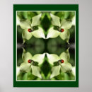 Suche nach ladybugs poster Für sie