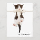 Recherche de accrocher cartes postales Chat