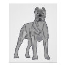 Suche nach cane corso poster Rohrkorso