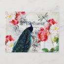 Recherche de paons cartes postales Vert