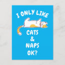 Recherche de siestes cartes postales Amoureux des chats