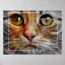 Suche nach niedlich poster Katzenliebhaber