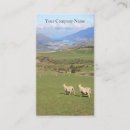 Suche nach schaf bauer visitenkarten Wolle