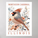 Recherche de cardinal bird Vacances