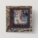 Suche nach keine nüsse buttons Eichhörnchen