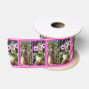 Recherche de bordure rubans Animal