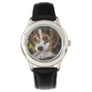 Recherche de beagle montres Animaux