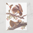 Recherche de élaboré cartes postales Pour tous