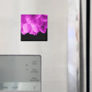 Recherche de fond floral magnets Fleur