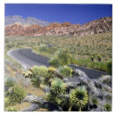 Suche nach rock fliesen Landschaft