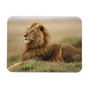 Suche nach kenia magnete Afrika