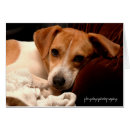 Recherche de russel cartes postales Heureux