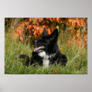 Recherche de laying posters Lying down