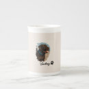 Recherche de labradors tasses Pour animaux