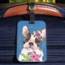 Recherche de french bulldog accessoires Bleu