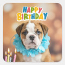 Recherche de bulldogge autocollants Bouledogue