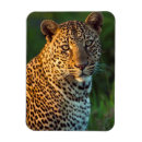 Recherche de espèce menacée magnets Jour