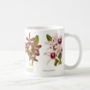 Recherche de cru botanique tasses Illustration