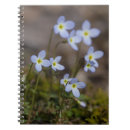 Suche nach blüten kleine notizbücher Blumen