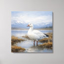 Suche nach wildlife leinwandbilder Natur