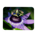 Recherche de passion magnets Fleur