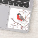 Recherche de rouge gorge autocollants Neige