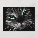 Recherche de marrante cartes postales Chat
