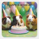 Recherche de guinee autocollants Animal