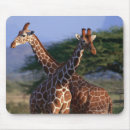 Recherche de casse cou tapis souris Safari