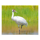 Suche nach wenden auf poster Tierwelt