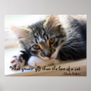 Recherche de chaton gris posters Pour tous