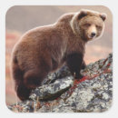 Suche nach denali aufkleber Tierwelt