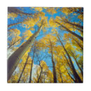 Suche nach herbstfarben fliesen Amerika