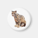 Recherche de réalisme magnets Chat