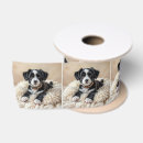 Recherche de chiots rubans Dog