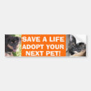 Suche nach miezekatze autoaufkleber Tiere