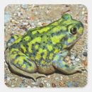 Suche nach kröten aufkleber Amphibie