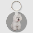 Recherche de bichon porteclés Frise de bichon